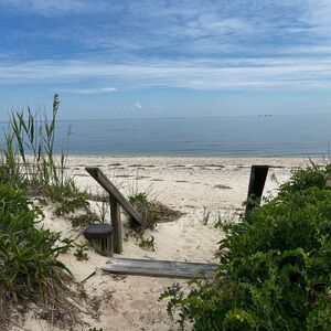 Meet your Posher, Thea